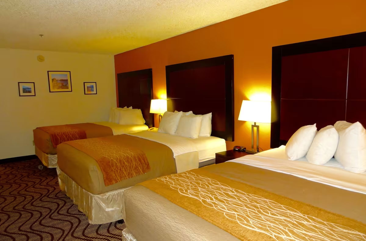 酒店客房設(shè)計細(xì)節(jié)的全面知識點解讀 酒店客房設(shè)計細(xì)節(jié)的全面知識點解讀